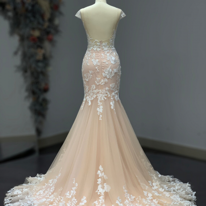 Cap Sleeves See Through Blush Wedding Dress