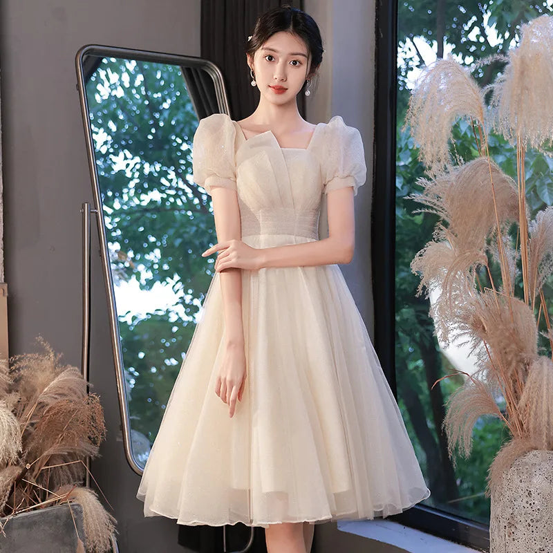 Vintage Puff Sleeve Tulle Midi Dress